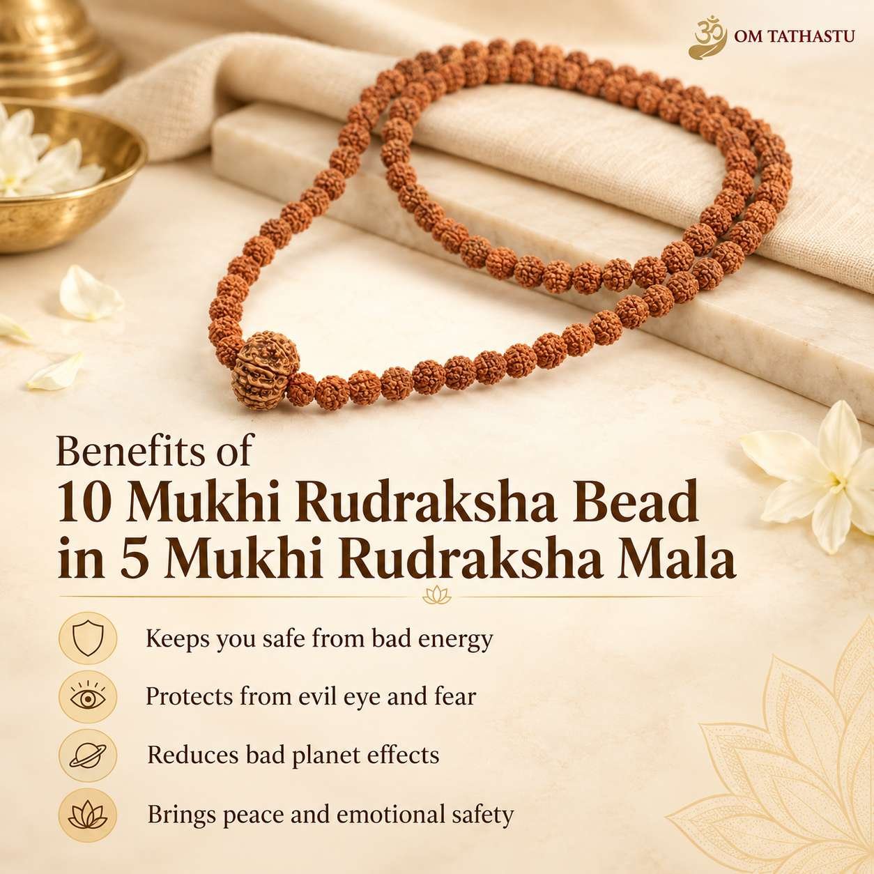 10 Mukhi Rudraksha in 5 Mukhi Mala - Image 3