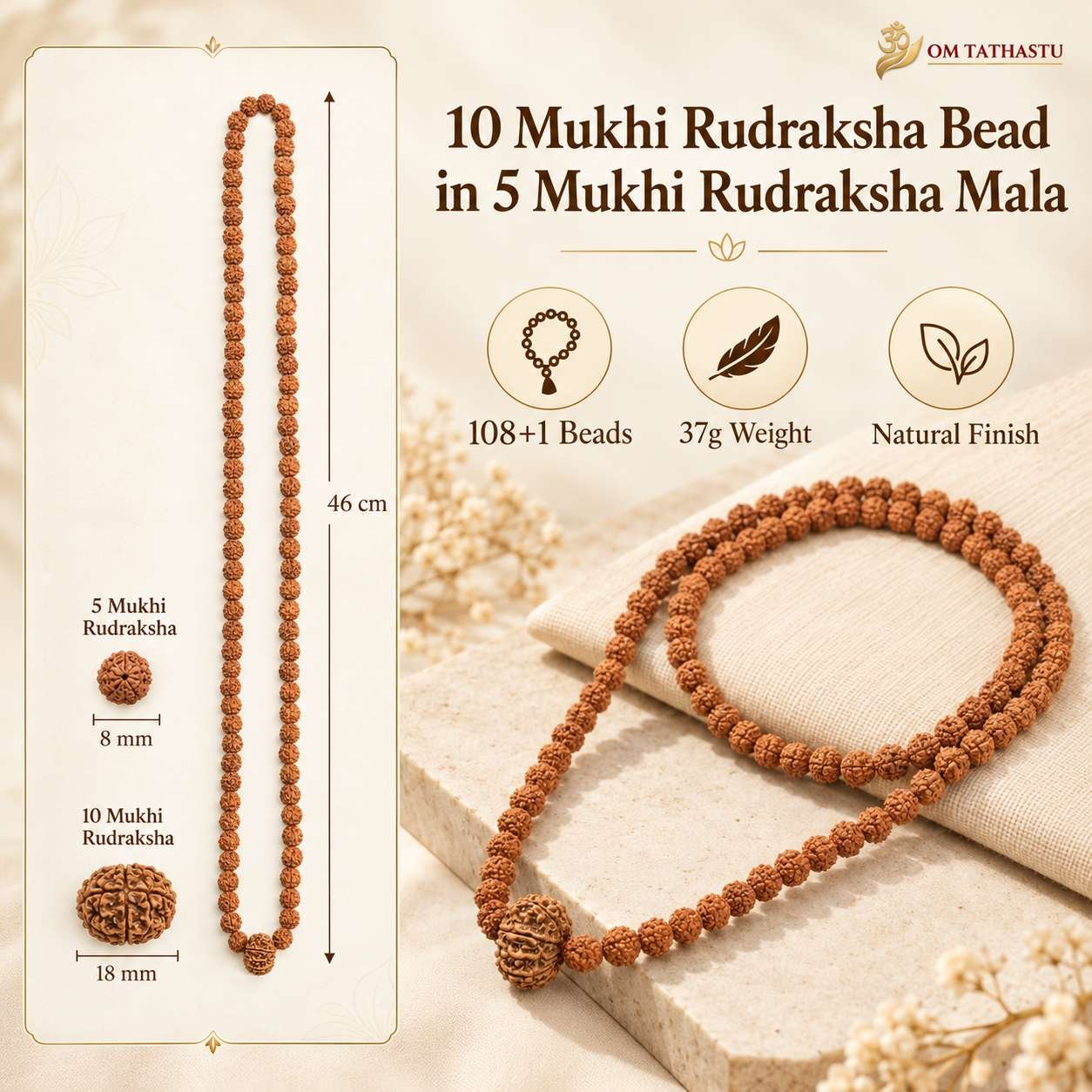 10 Mukhi Rudraksha in 5 Mukhi Mala - Image 5