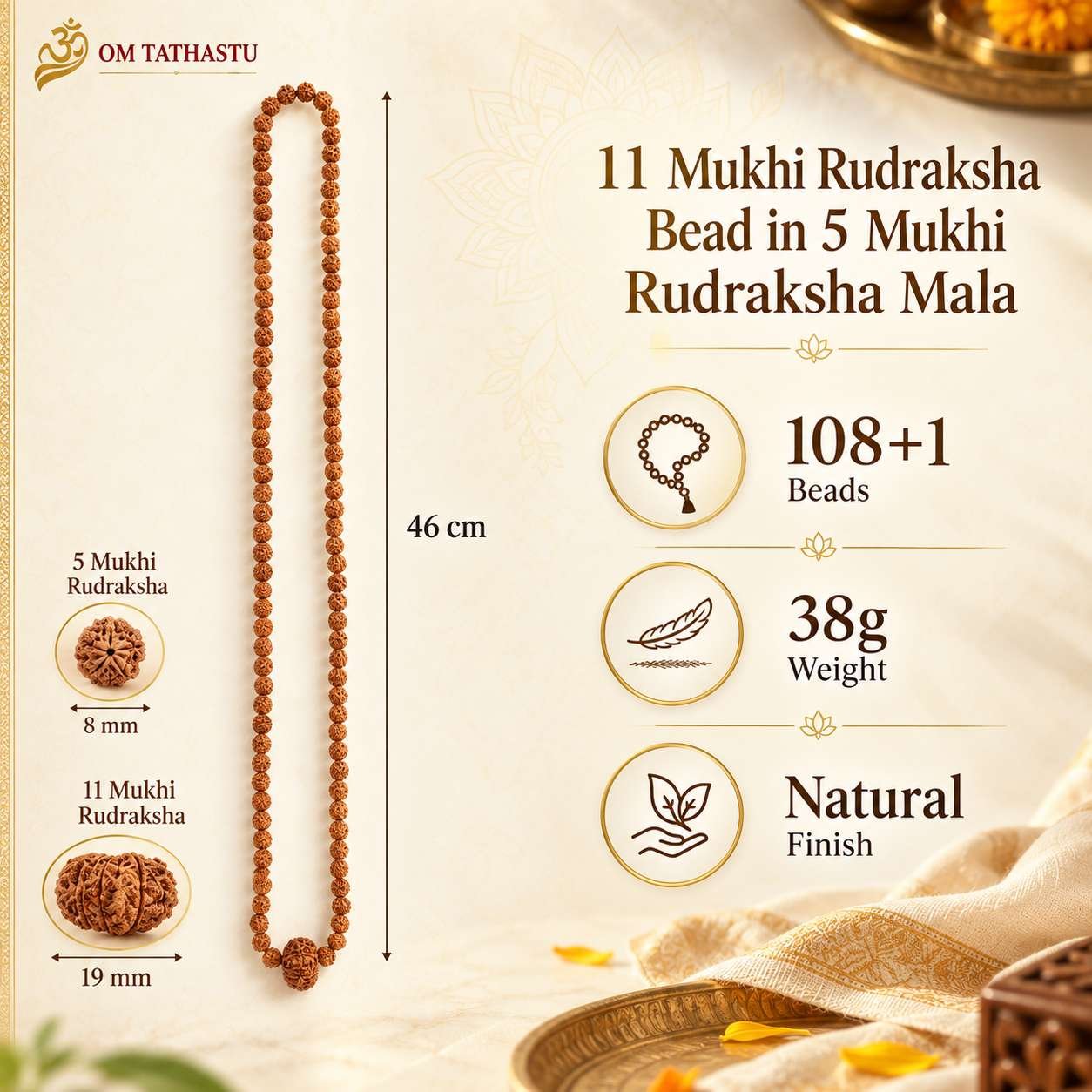 11 Mukhi Rudraksha in 5 Mukhi Mala - Image 7