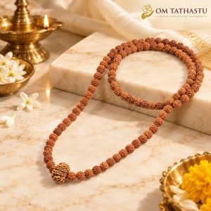 13 Mukhi Rudraksha in 5 Mukhi Mala