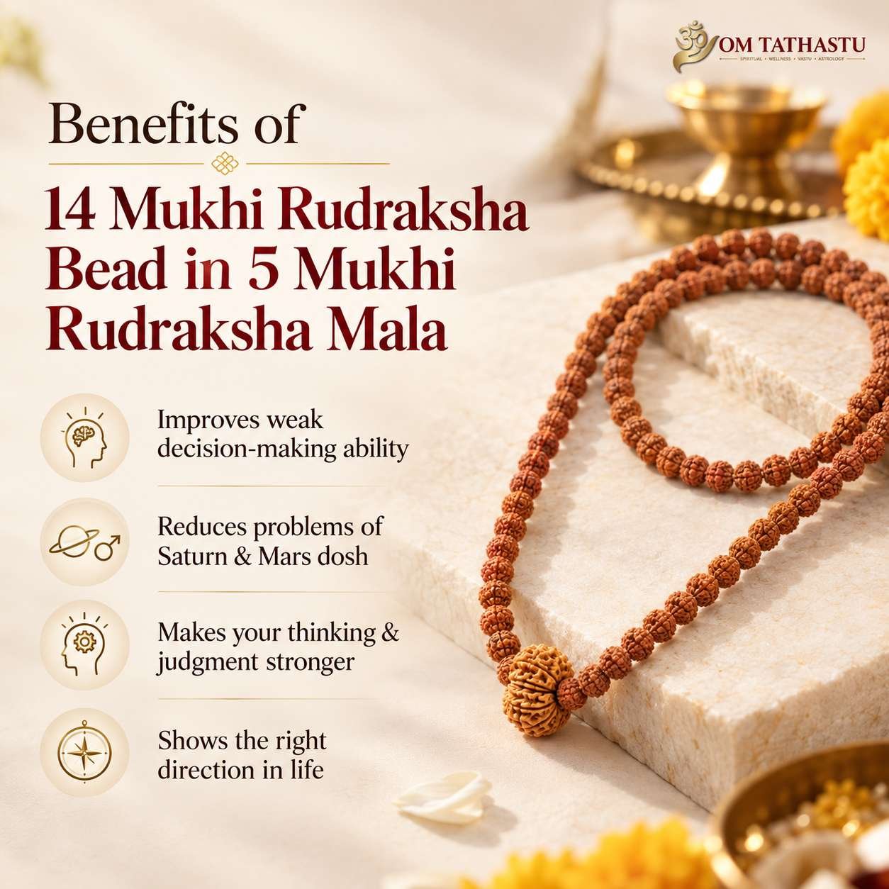 14 Mukhi Rudraksha in 5 Mukhi Mala - Image 3