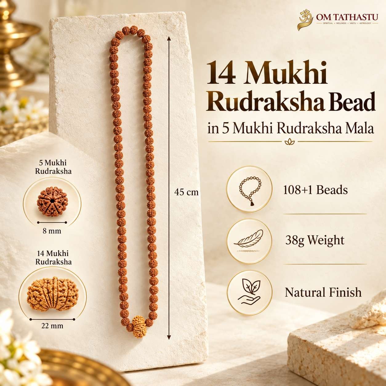14 Mukhi Rudraksha in 5 Mukhi Mala - Image 4