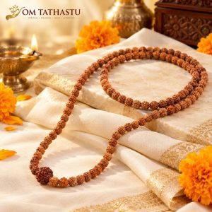 4 Mukhi Rudraksha in 5 Mukhi Mala