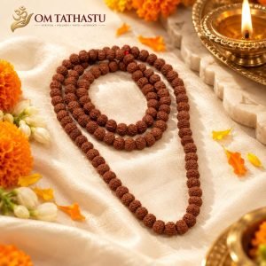 7 Mukhi Rudraksha Mala (9-10mm, 108+1 Beads)